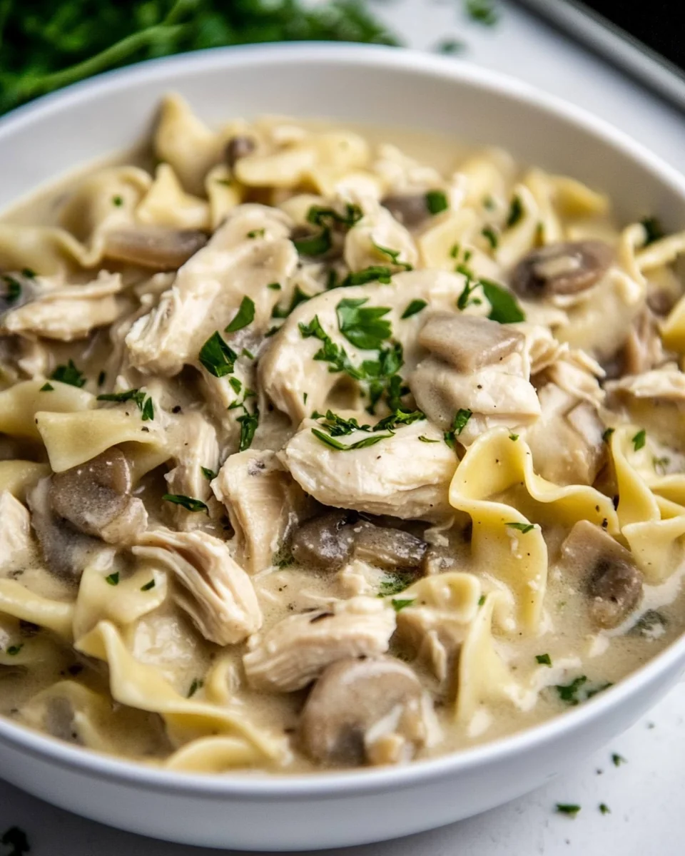 Perfect Slow Cooker Chicken And Noodles Recipe - additional image
