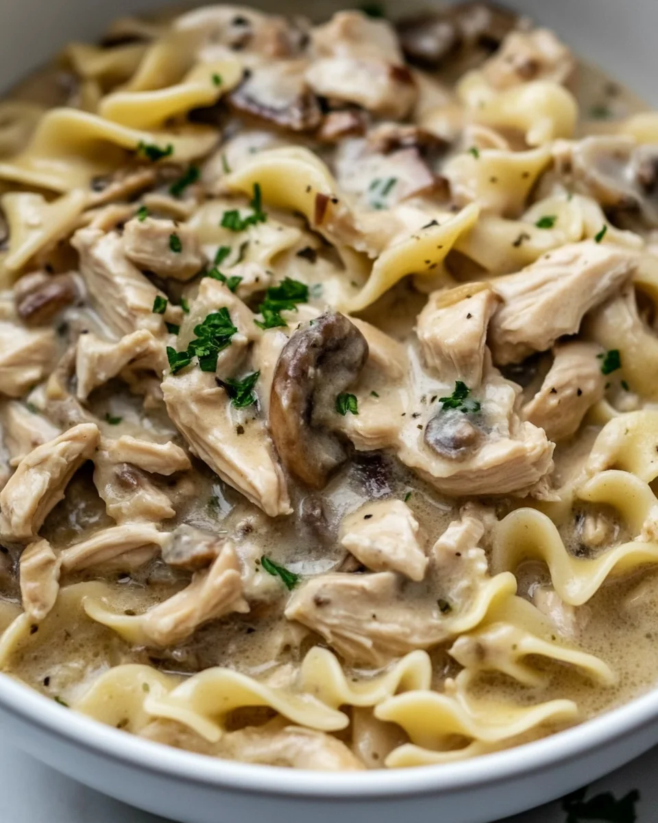 Perfect Slow Cooker Chicken And Noodles Recipe - additional image